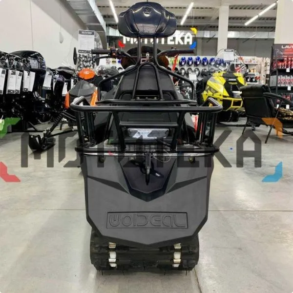 Снегоход MotoLand (Мотолэнд) ALPINE 200 оранжевый (машинокомплект) | Мототека