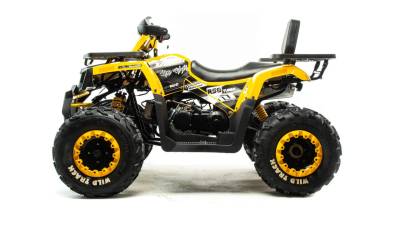 Квадроцикл MIC (Made in China) VOX200 WILD TRACK LUX ( баланс. вал) A (машинокомплект)