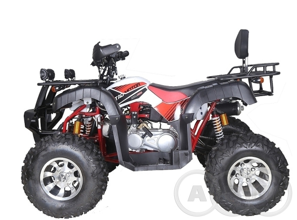 Квадроцикл ABM (АВМ) Apache 200 (машинокомплект) | Мототека