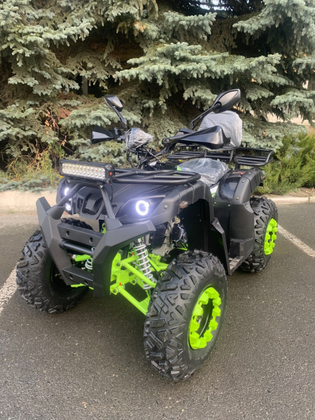 Квадроцикл R - MOTO (Р - Мото) Lion 200 черный (машинокомплект) | Мототека