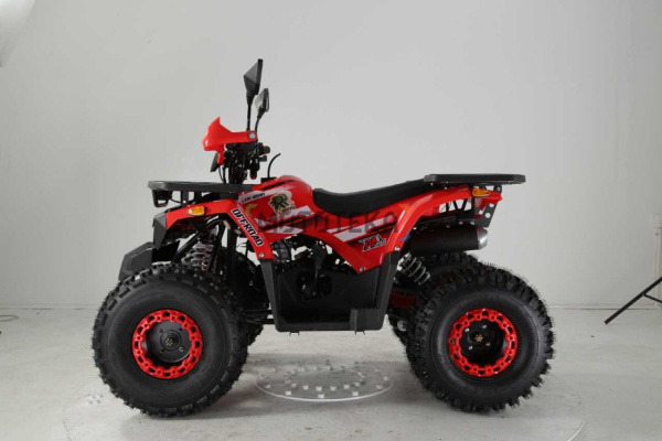 Квадроцикл детский R - MOTO (Р - Мото) Lion 125 AA красный (машинокомплект) | Мототека